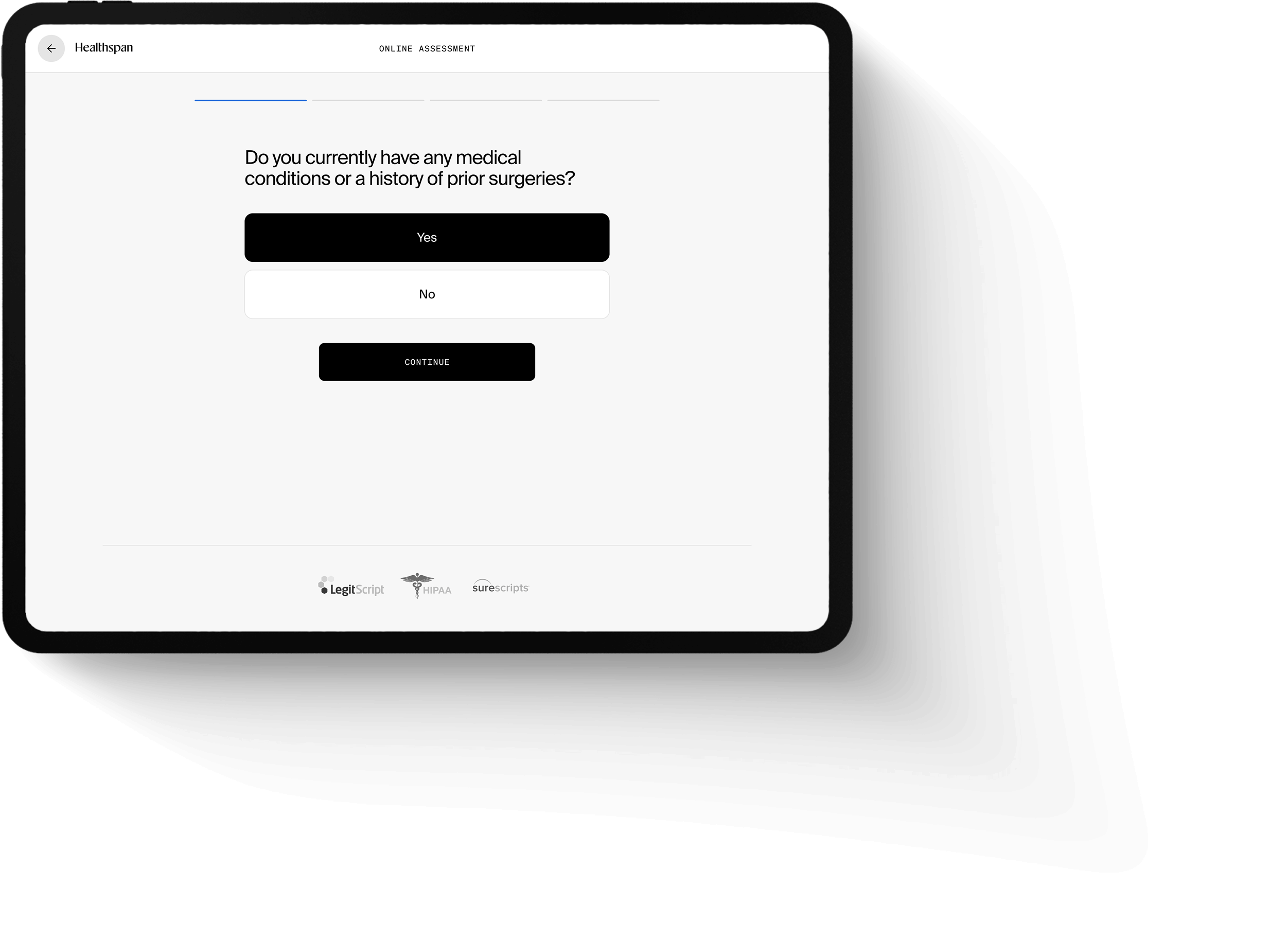 iPad