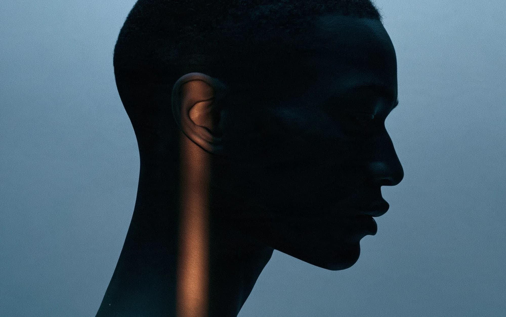 Profile silhouette in evening light
